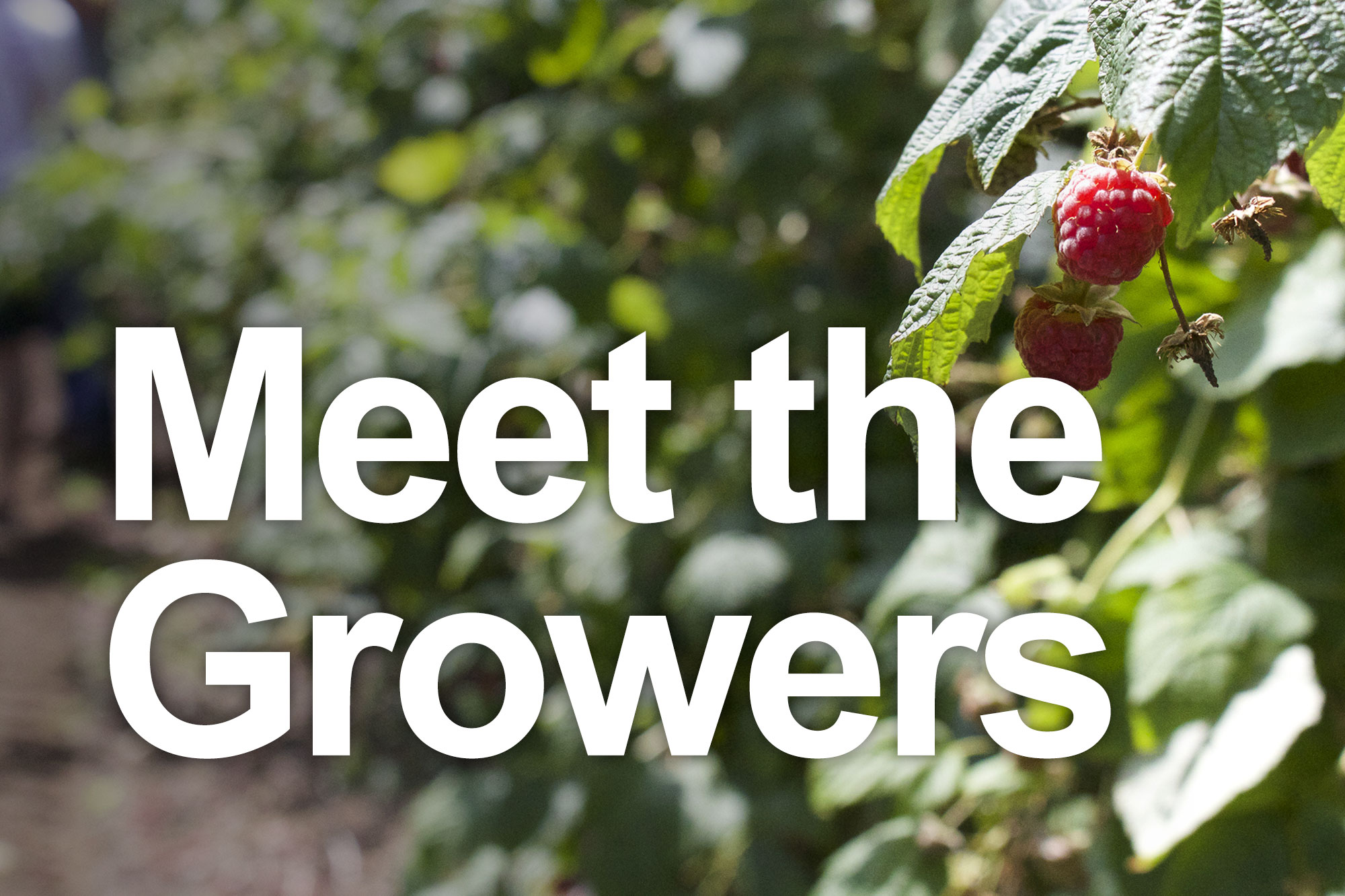 meet the growers photo web