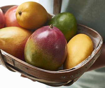 breaking news mango contest optimized crop
