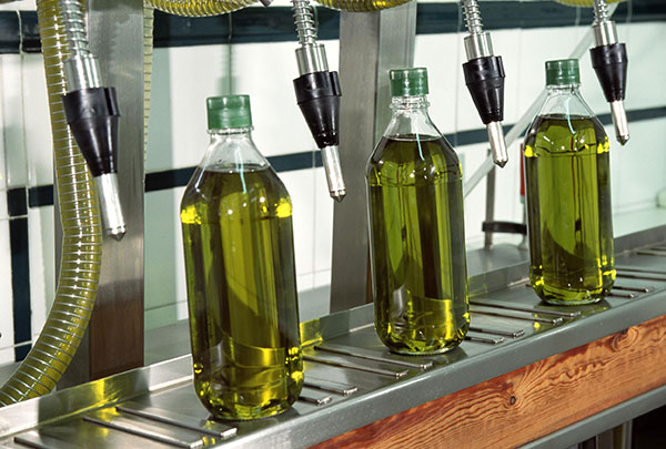 olive oil edition announcement web