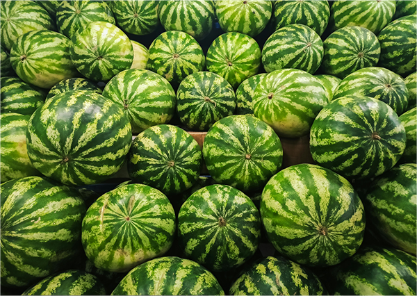 watermelon small