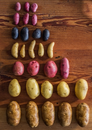 Gluten-Free Solution: Idaho® Potatoes
