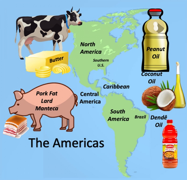 Go Authentic by Cooking with Indigenous Fats and Oils Go Authentic by Cooking with Indigenous Fats and Oils