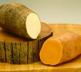 What’s the Difference Between a Sweet Potato and Yam?