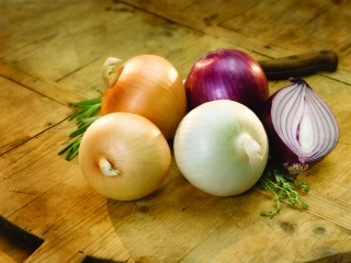 Onions’ Seasons, Colors and Flavors