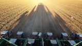 Farming Onions in an Ideal Desert