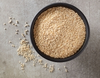 Introducing Domestic White Quinoa